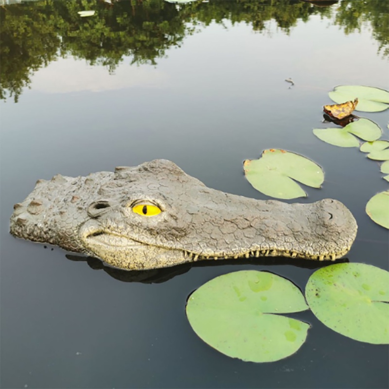 Calidad y confort Tienda de descuentos Libre de impuestos Envío gratis  Resina Artificial Falso Cocodrilo Cocodrilo de cabeza conjunto Flotante  Decoración A7H7 Decoy 