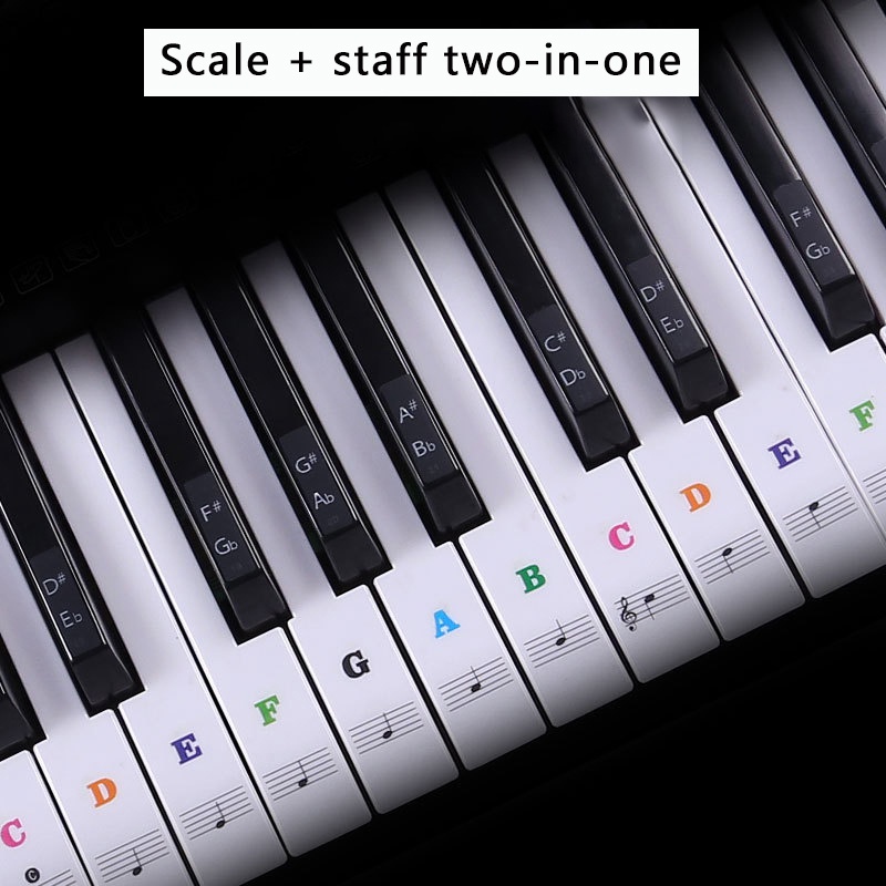 37/49/54/61/88 Key Music Keyboard Piano Sticker Removable Note Label ...