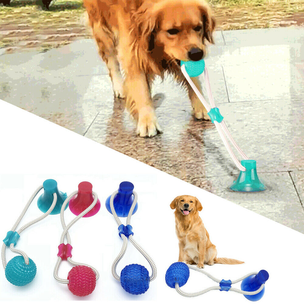 Dog Toy Floor Suction Cup with Ball Cat PUPPY Pet Teeth Clea